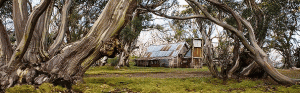 High Country Scenic Tours - Accommodation in Bendigo